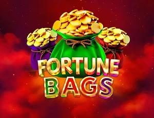 fortune bags